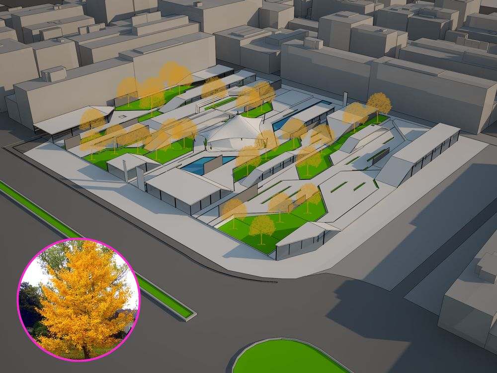 picture no. 32 of Shahsavar Park project, designed by Mohammad Reza Kohzadi