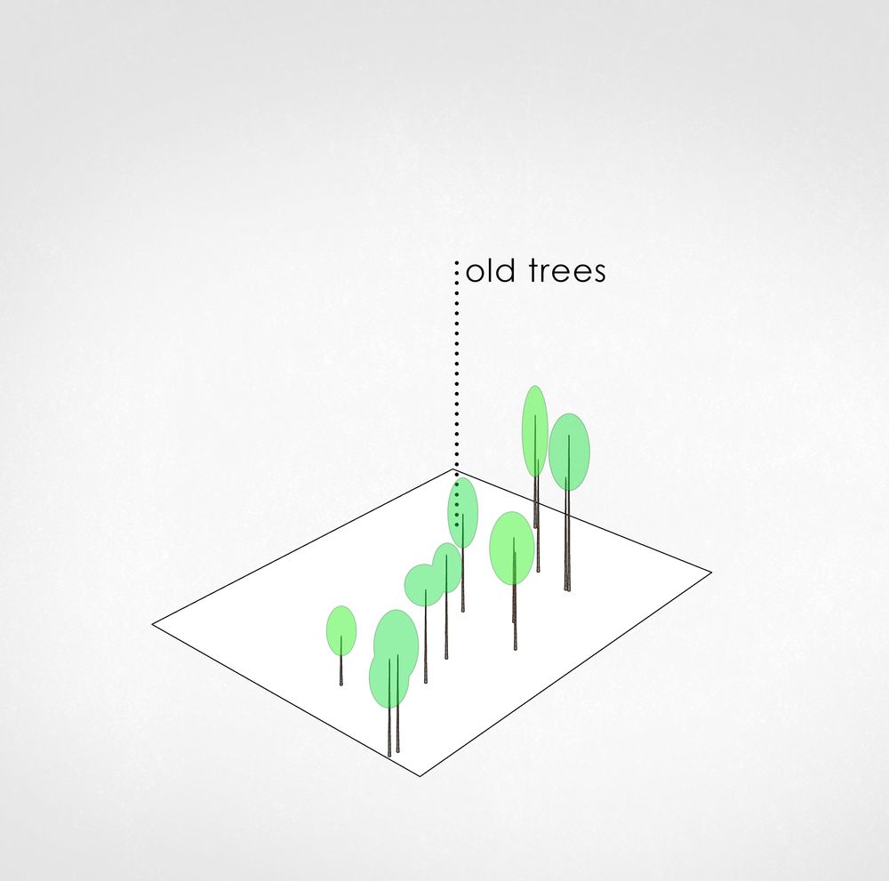 picture no. 3 of Tree House project, designed by Mohammad Reza Kohzadi