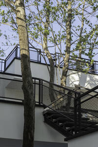 thumbnail of picture no. 10 of Tree House project, designed by Mohammad Reza Kohzadi